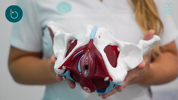 Fisioterapia suelo pélvico en Córdoba — Clínica Bailío