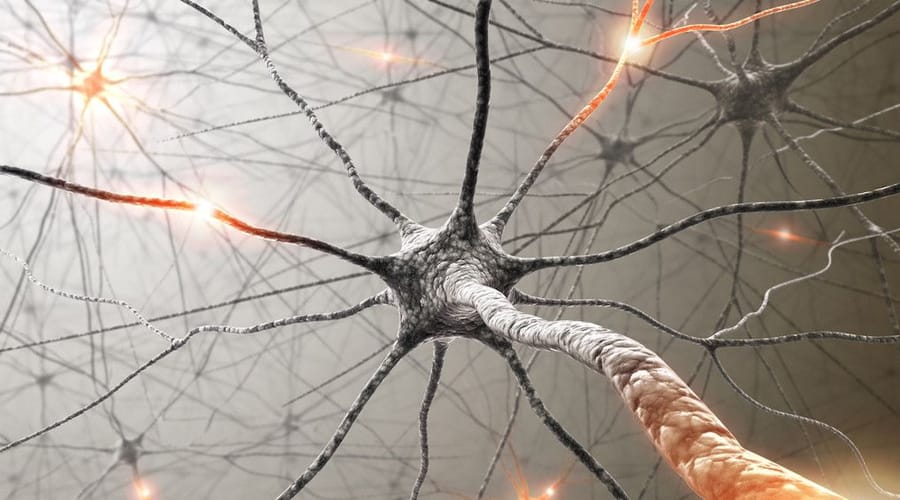 Sesión de neuromodulación percutánea ecoguiada en Clínica Bailío Córdoba