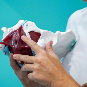 Sesión fisioterapia suelo pélvico